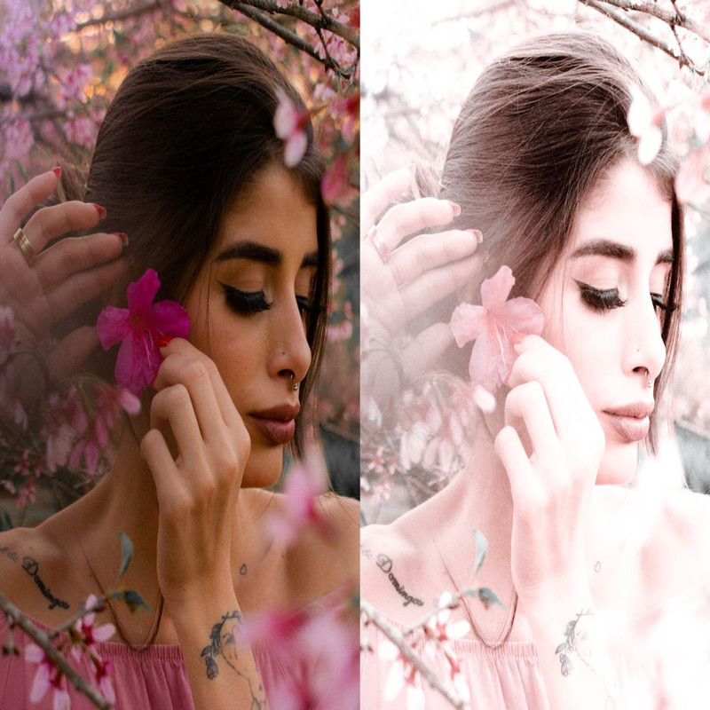 1080x1080 size 5_Cherry-Blossom-Preview-1594x1062.jpg