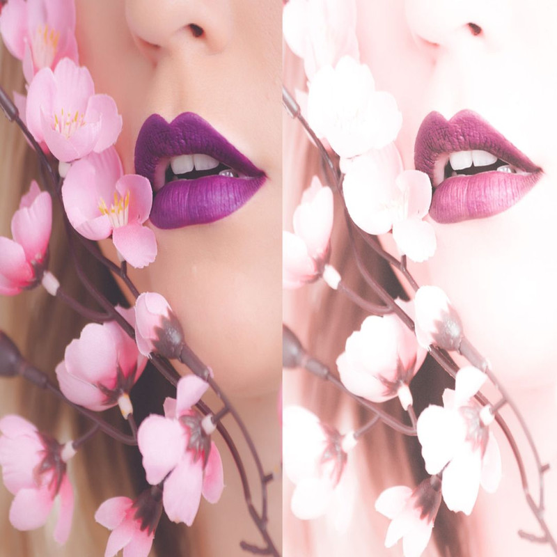 1080x1080 size 8_Cherry-Blossom-Preview-1594x1062.jpg