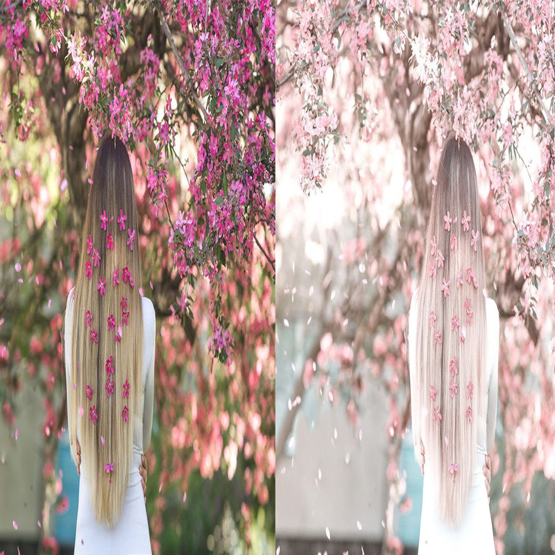 1080x1080 size 9_Cherry-Blossom-Preview-1594x664.jpg
