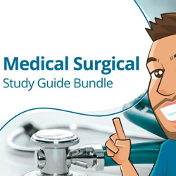 Med Surg Study Guide Bundle  201 Pages  Digital Download  | Nursing Bundle | PDF File
