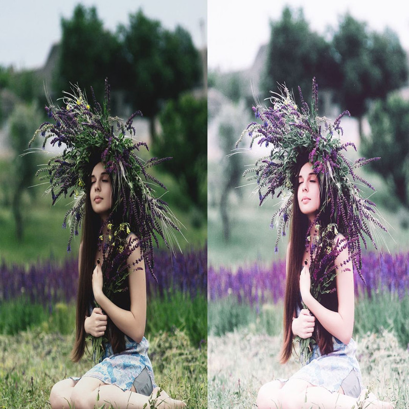 1080x1080 size 2_Lavender-1594x1062.jpg