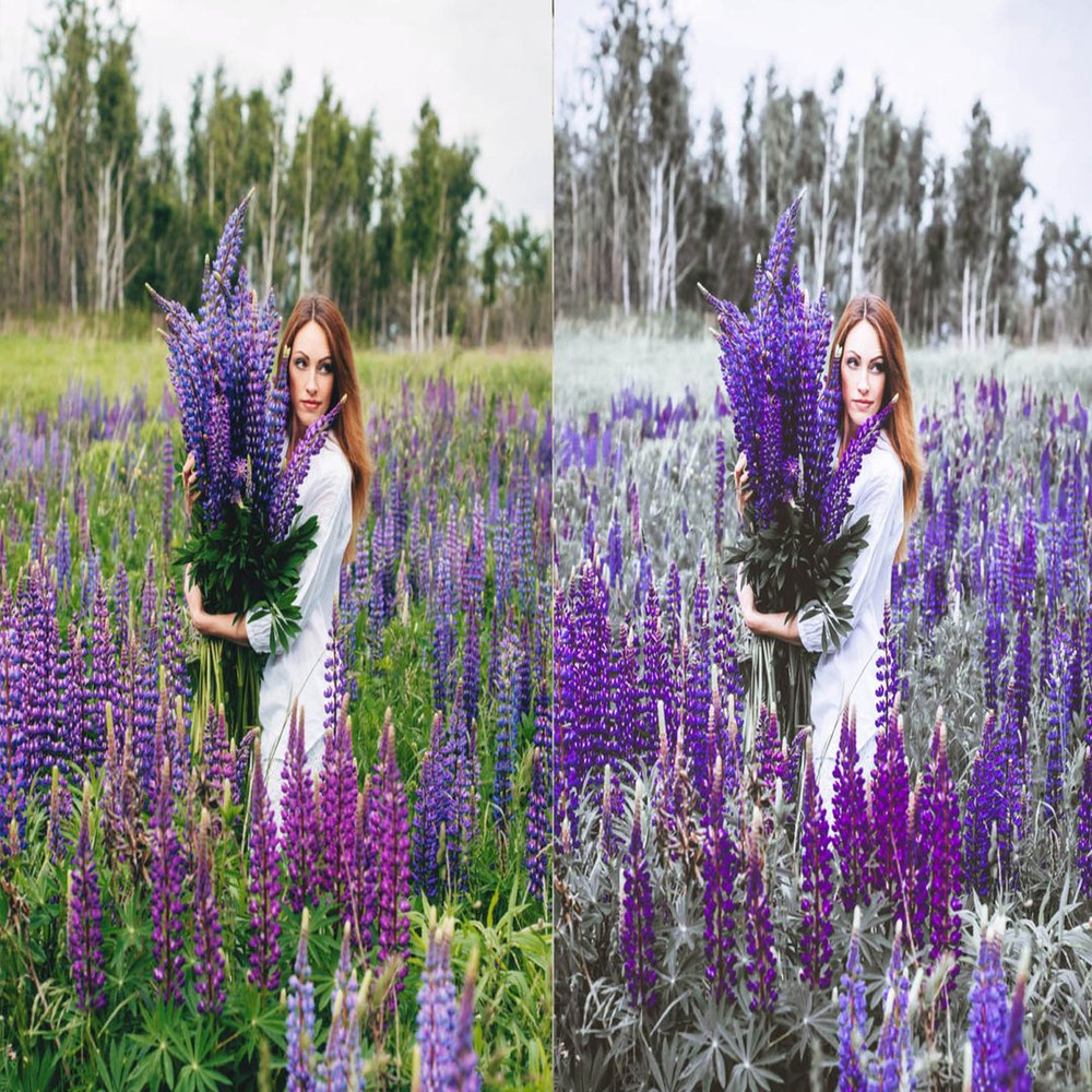 1080x1080 size 3_Lavender-1594x1062.jpg
