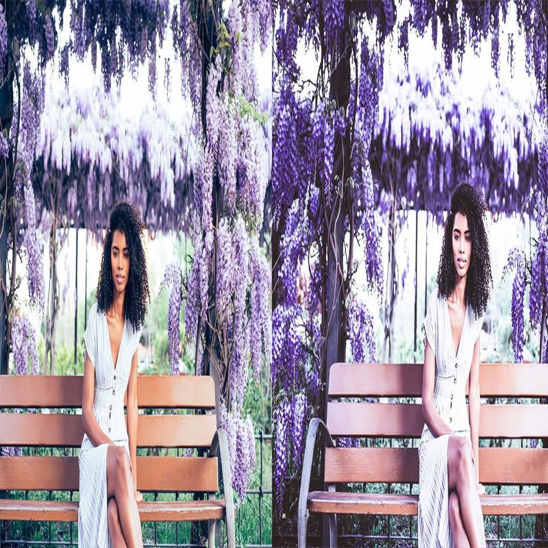 1080x1080 size 6_Lavender-1594x664.jpg