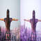 1080x1080 size 9_Lavender-1594x664.jpg