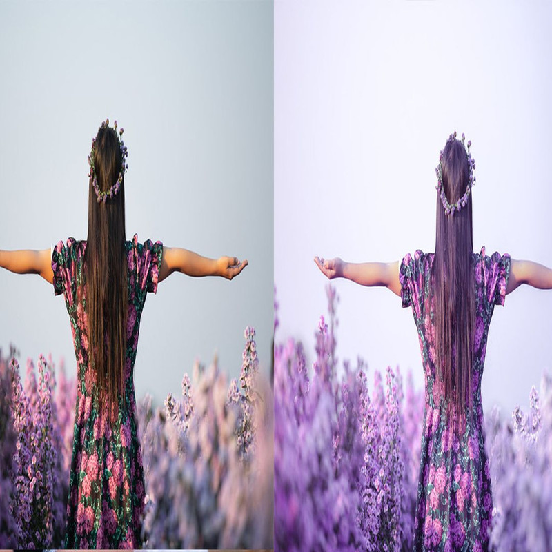 1080x1080 size 9_Lavender-1594x664.jpg