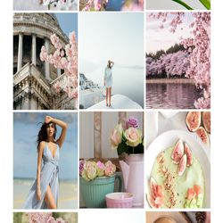12 x Lightroom Presets | Spring Blossom | Travel Mobile & Desktop Presets