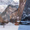 1080x1080 size 1_Lauterbrunnen-1594x1062.jpg
