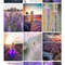 1080x1080 size Fields-of-Lavender-1594x1062.jpg