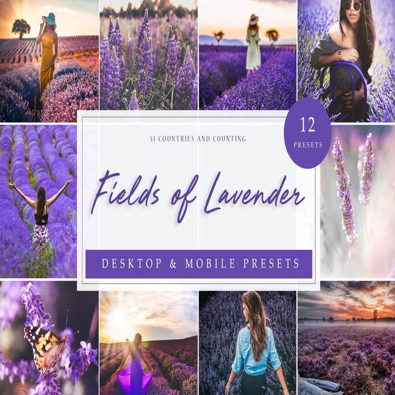 1080x1080 size Fields-of-Lavender-LR-1594x1062.jpg