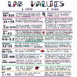 Lab Values | Nursing Bundle | PDF File | Pages 1