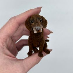 For Jenny. Miniature dog. The dog is a crocheted souvenir. Individual order. Miniature dog as a gift