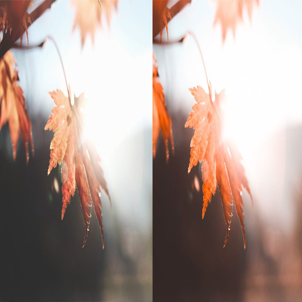 1080x1080 size Cozy-Fall-Preview-1-1594x664.jpg