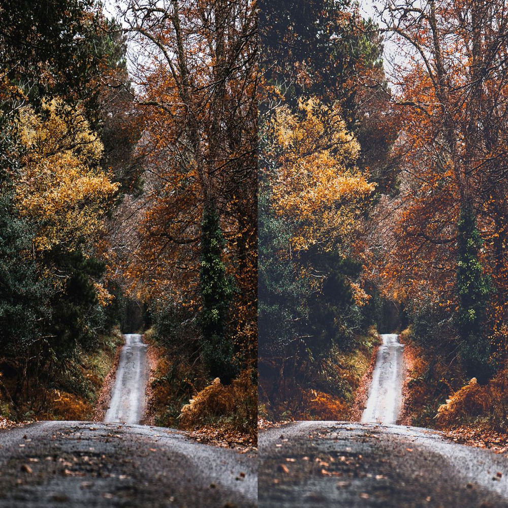 1080x1080 size Cozy-Fall-Preview-5-1594x1062.jpg