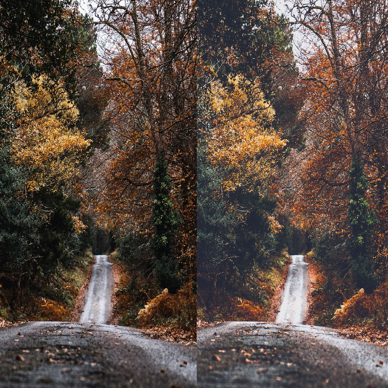 1080x1080 size Cozy-Fall-Preview-5-1594x1062.jpg