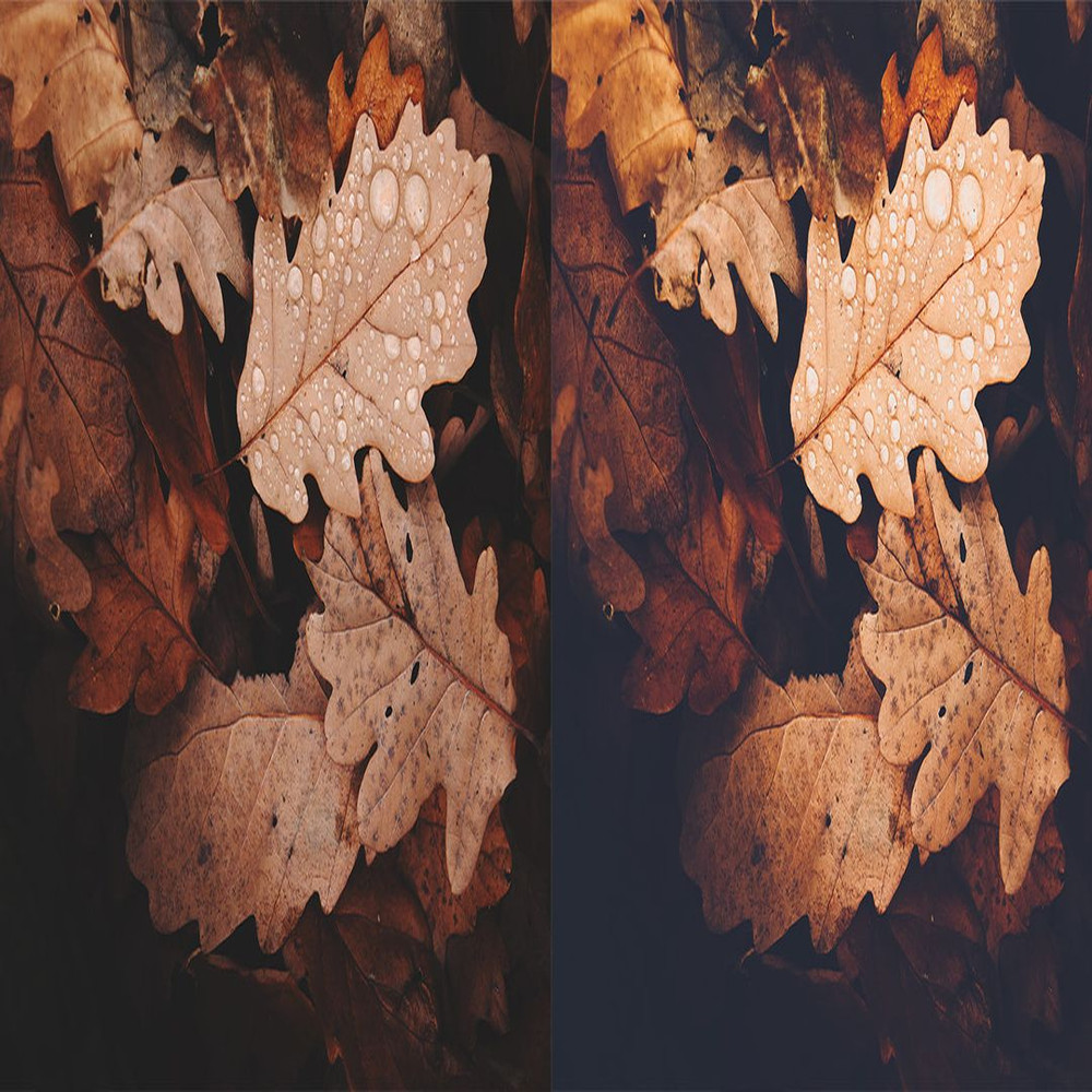 1080x1080 size Cozy-Fall-Preview-8-1594x664.jpg