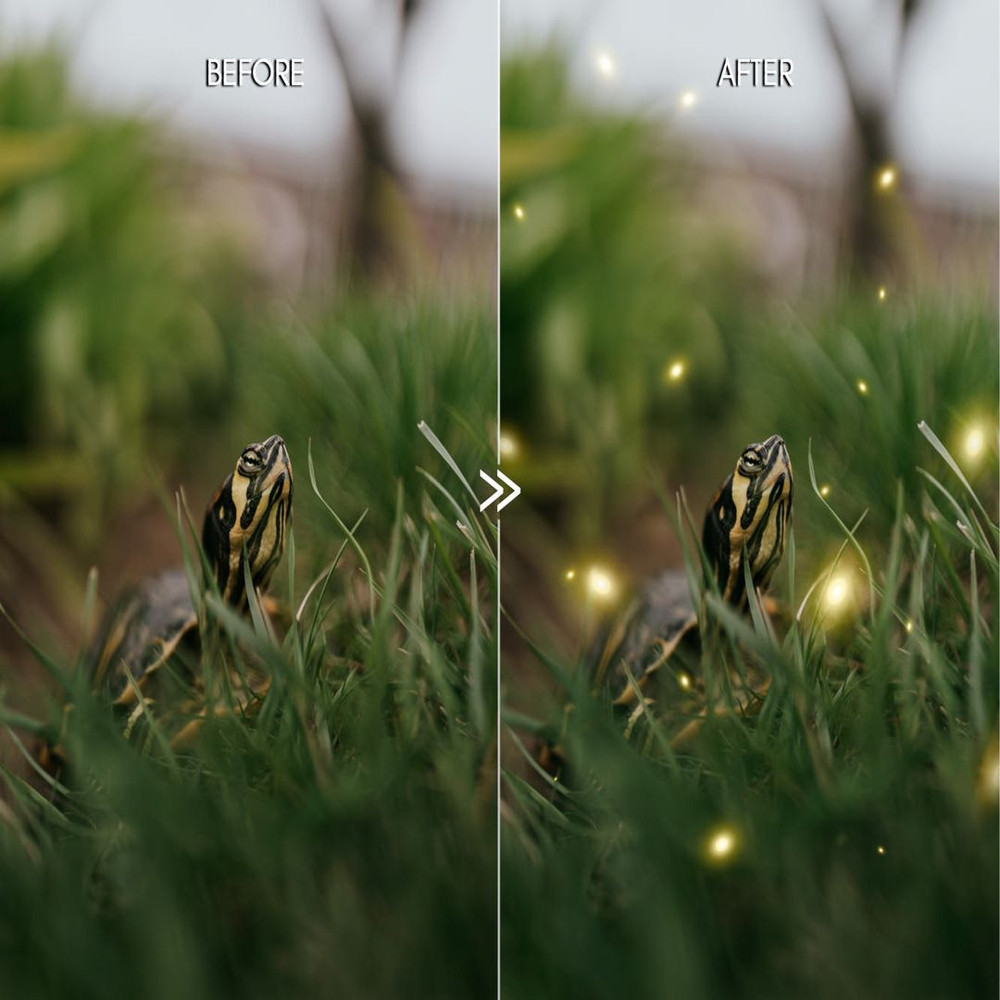 1080x1080 size firefly-photo-overlays-1.jpg