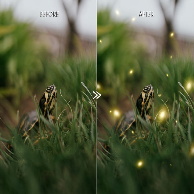 1080x1080 size firefly-photo-overlays-1.jpg