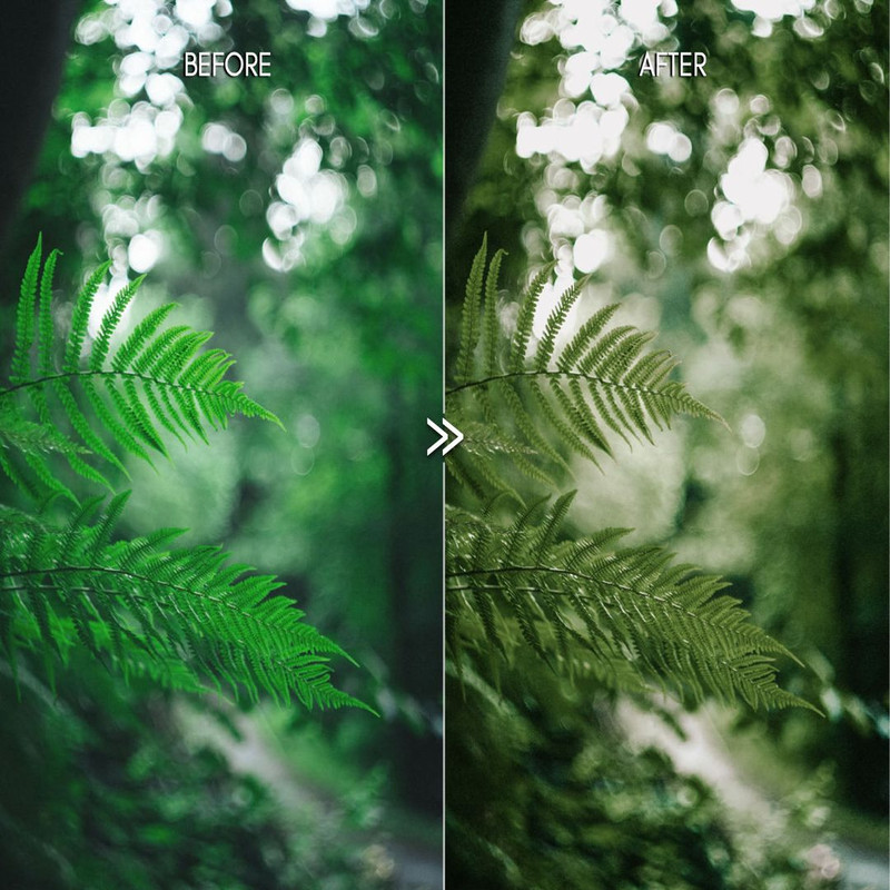 1080x1080 size rich-greens-natural-outdoor-moody-tones-vsco-film-lightroom-presets-7.jpg