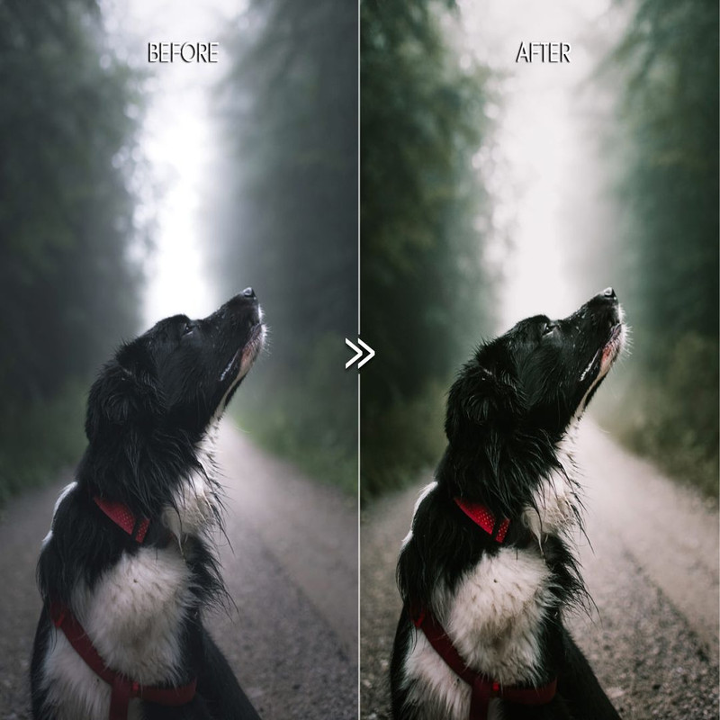 1080x1080 size rich-greens-natural-outdoor-moody-tones-vsco-film-lightroom-presets-9.jpg