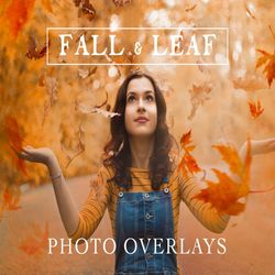 70 Natural Falling Autumn Leaves Photoshop Overlays Mobile & Desktop Presets