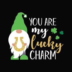 you are lucky charm gnome svg, st patrick's day svg, shamrock svg, st patricks svg, lucky svg file cut digital download