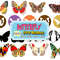 1000 Butterfly svg, Butterfly svg bundle, Layered Butterfly Bundle Cricut SVG Files, Butterflies, Butterfly Svg for Cricut.jpg