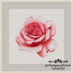 Pink Rose 72 Vintage Cross Stitch Pattern PDF Garden Flowers embroidery Compatible Pattern Keeper