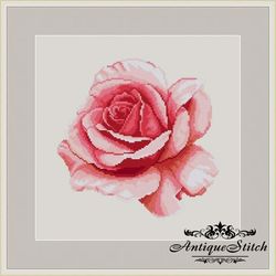 pink rose 72 vintage cross stitch pattern pdf garden flowers embroidery compatible pattern keeper