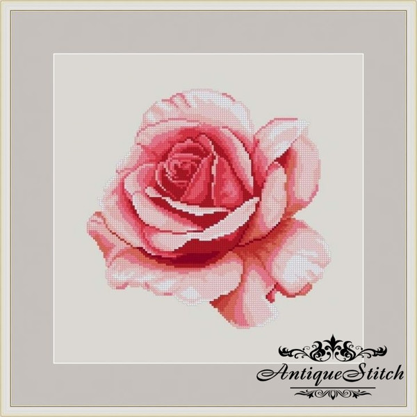 Vintage-cross-stitch-pattern-Pink Rose