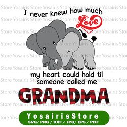 i never knew how much love my heart could hold til someone called me grandma png valentineday sublimation mothers day