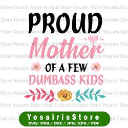 mom svg, proud mother of a few dumbass kids svg, proud mother svg, dumbass kids svg ,mother's day svg, mom svg,