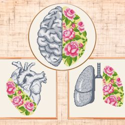 set of 3 floral anatomical cross stitch pattern modern cross stitch floral heart cross stitch brain