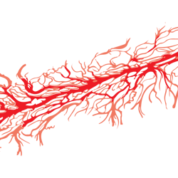 logo nike brand svg, fashion brand svg, nike brand svg, nike brand logo silhouette svg files