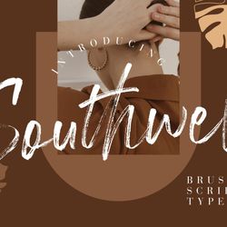 Southwell Brush Script Trending Fonts - Digital Font