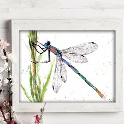 Dragonfly Painting Watercolor Wall Decor 8"x11" home art insects watercolor painting by Anne Gorywine