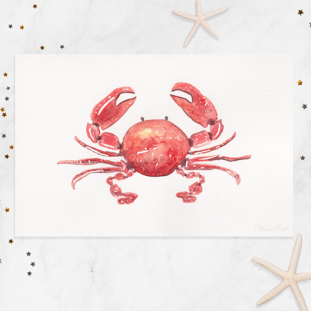 Crab_NinaFert_insta.jpg