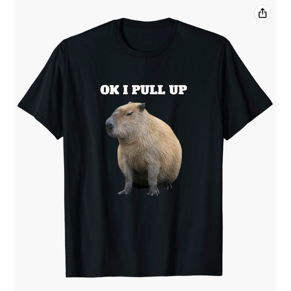 Ok I Pull Up Capybara T-Shirt.png