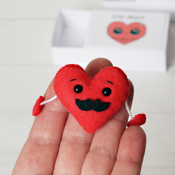 red-heart-plush-heart-pocket-hug-gift-with-personal-message-romantic-love-card-matchbox-love-heart-send-a-hug-gift (14).jpeg