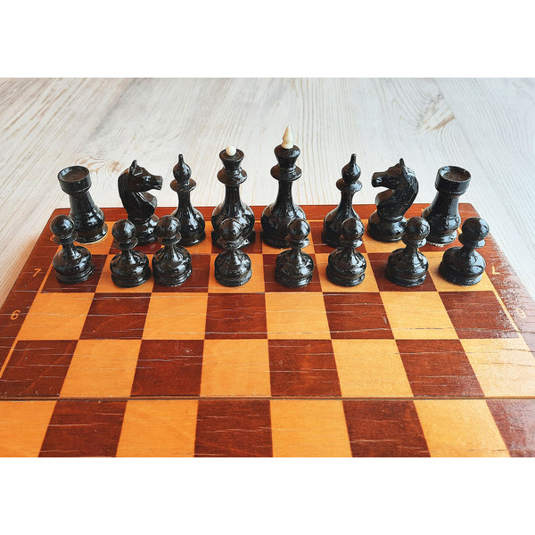 perhushkovo_small_chess9++++.jpg
