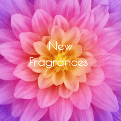 New Fragrance Arrivals