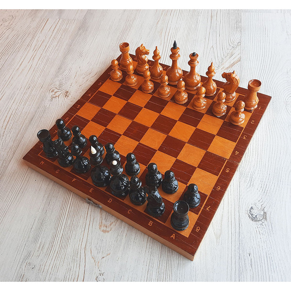 perhushkovo_small_chess9+++++.jpg