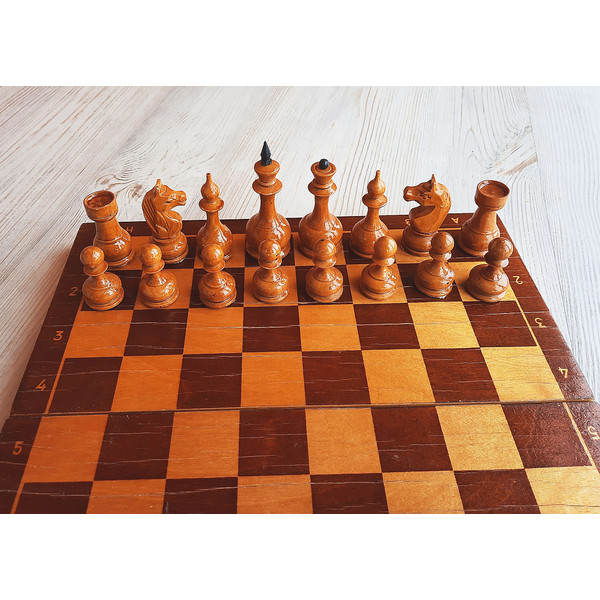 perhushkovo_small_chess9.jpg