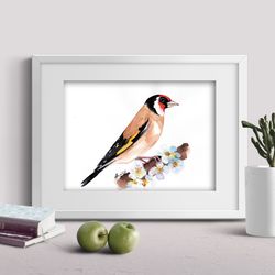 European Goldfinch bird original watercolor painting birds painting wall decor art by Anne Gorywine