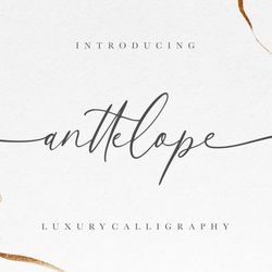 anttelope luxury calligraphy trending fonts - digital font