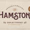 Cover-Hamston-1594x1062.jpg