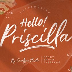 Priscilla Fancy Brush Typeface Trending Fonts - Digital Font