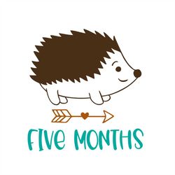 Happy Birthday Baby Hedgehog Five Months Svg