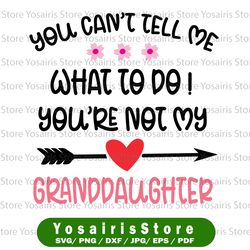 you can't tell me what to do you're not my granddaughter svg, cricut, cutting file, clipart