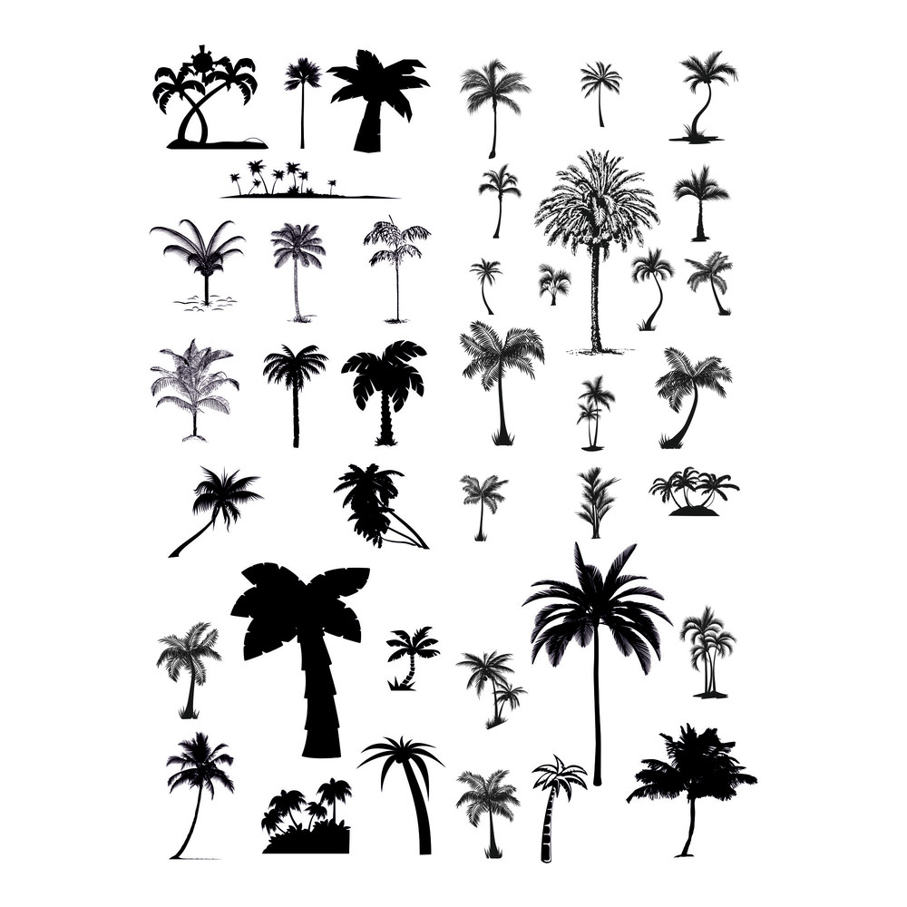 Palm trees.jpg