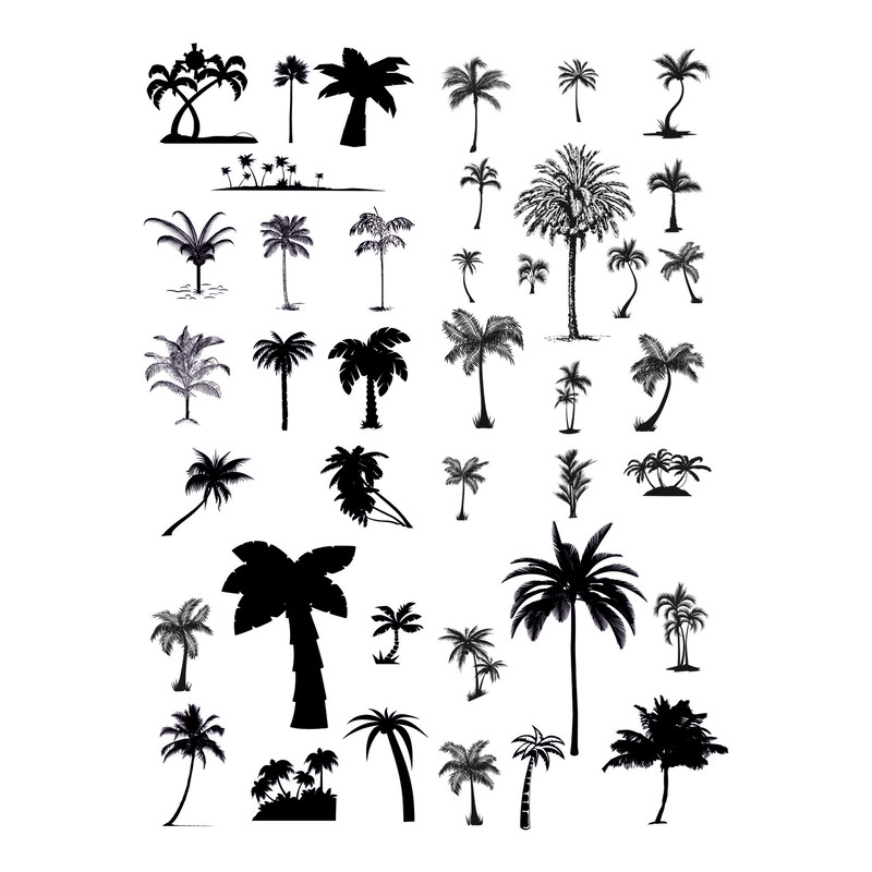 Palm trees.jpg